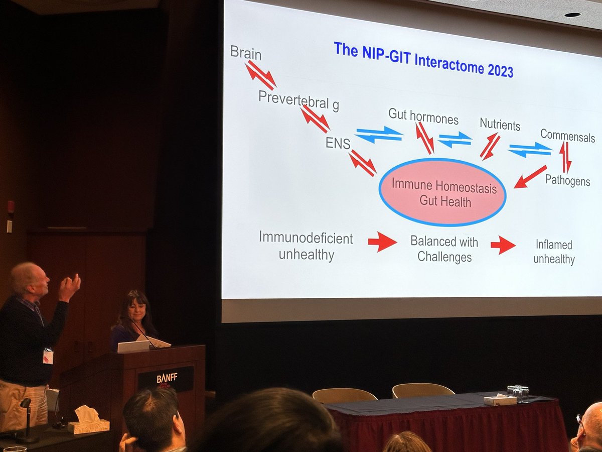 Kristen Smith-Edwards (@kristensedwards) on Twitter photo John Furness <a href="/TheFurnessLab/">Furness Lab</a> and Kim Barrett perfectly summarize #NIPGIT2023 in a single slide. We still have much more to work out regarding the neuroimmunophysiology interactome. Can’t wait for the next meeting! John Furness <a href="/TheFurnessLab/">Furness Lab</a> and Kim Barrett perfectly summarize #NIPGIT2023 in a single slide. We still have much more to work out regarding the neuroimmunophysiology interactome. Can’t wait for the next meeting!