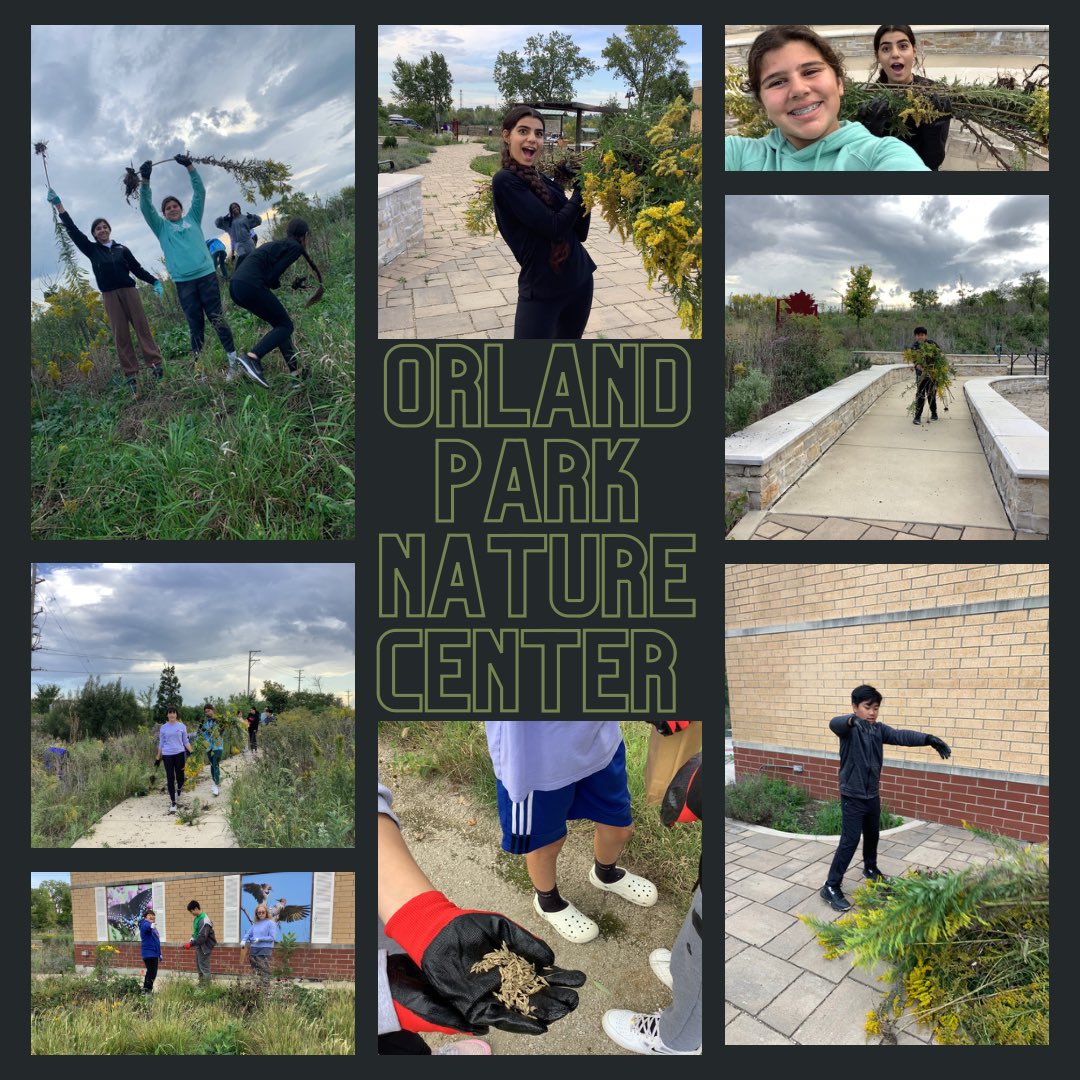 Meredith Doyle tweet media