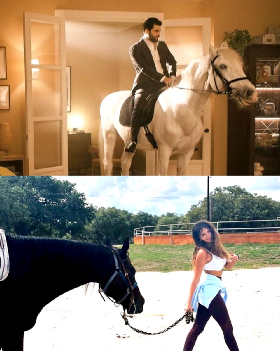 #ReyMir atlarıyla paralel bir dünyada🐎🔮 #AkRu