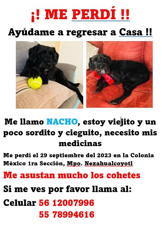 AYUDA URGENTE COMUNIDAD: Me ayudan a compartir para encontrar a NACHO???
Cualquier información comunicarse a los teléfonos 🙏🙏🙏