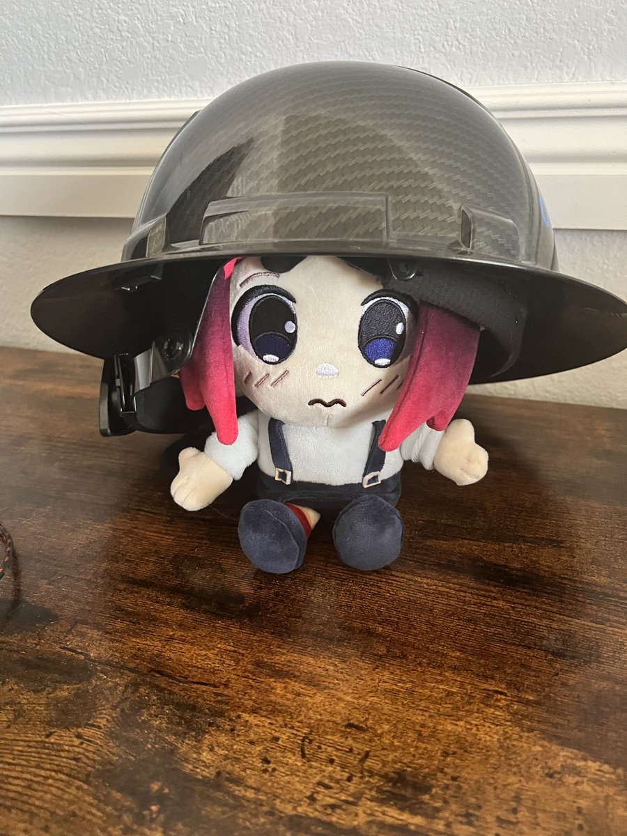 MrChaggy's tweet photo. @YoAdrianDK gotta keep them safe 🫡 https://t.co/hb9om5Zkwl