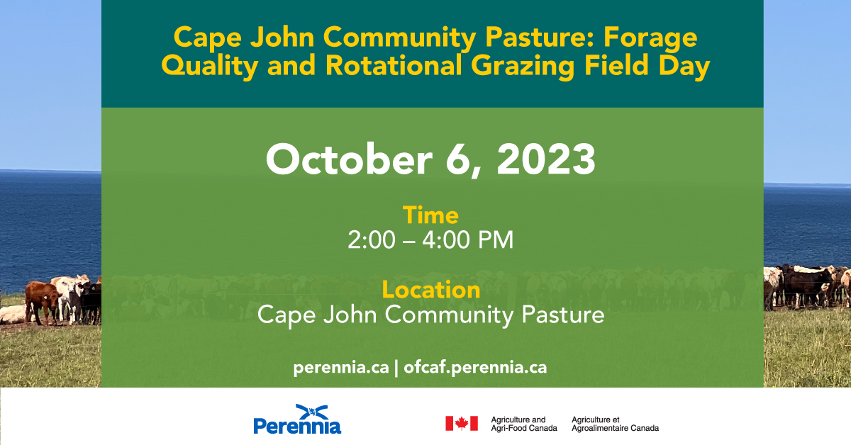 Join us at the Cape John Community Pasture on October 6 to discuss rotational grazing, forage quality and more. We will have examples of solar watering systems and a no-till seeder.

Find more info and register here: ofcaf.perennia.ca/training/

#CdnAg #OFCAF_NSNL @AAFC_Canada