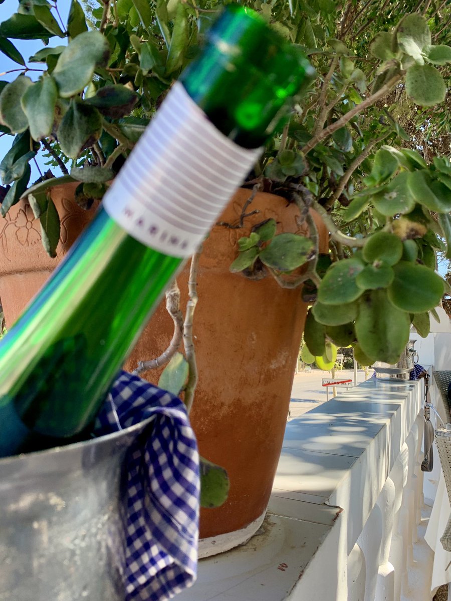 LiriosCR's tweet photo. Mi blanco favorito y l’illeta. Colofón de septiembre ☄️ https://t.co/g7uJG9UtOZ