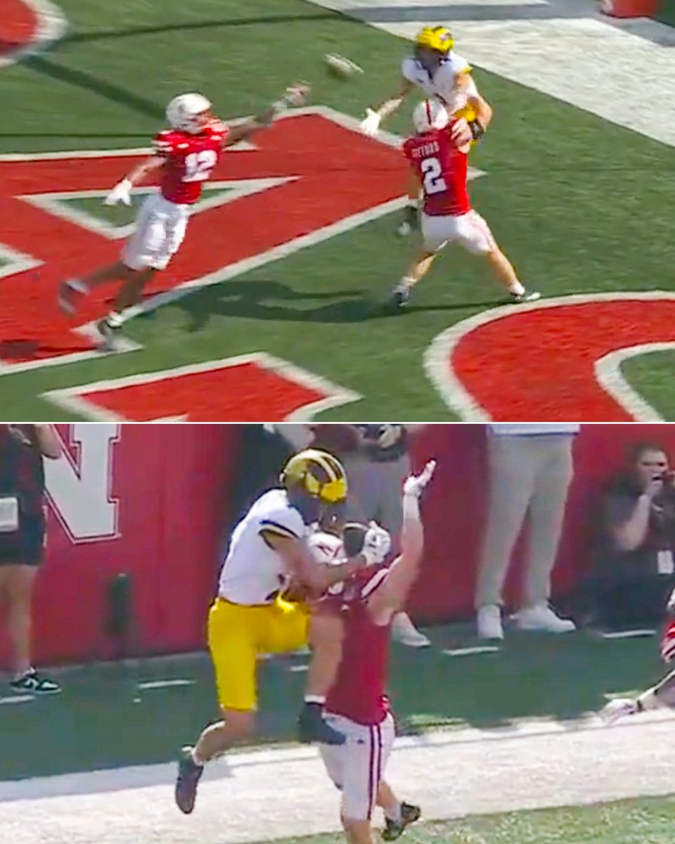 WHAT A TD CATCH BY ROMAN WILSON 😱