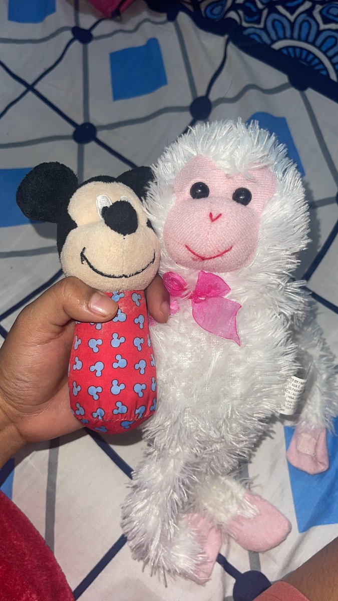 EmoraMelgar's tweet photo. Hoy encontré estos chiquitos, eran tus favoritos, como quisiera que pudieras dame un último abrazo, ya un año sin ti, la casa se siente vacía, mi corazón aún no se recupera, te extraño tanto mi princesita 😞❤️ mi Bonnita 🐩 https://t.co/CIvS3ALJEH