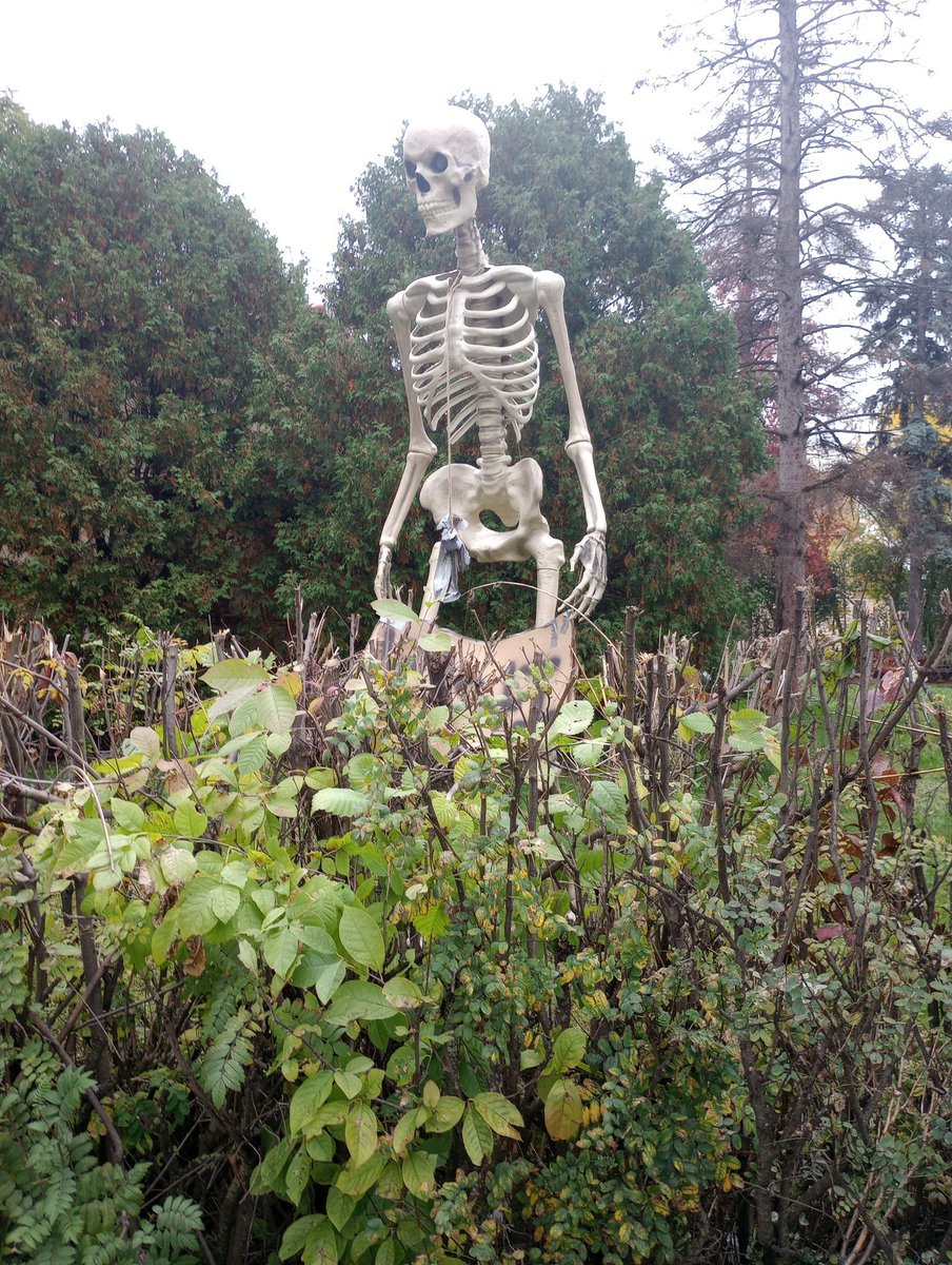 IronRangeRube's tweet photo. There is a 20' skeleton in this yard and the neighbor across the street has a great sense of humor. Kudos. Lol. #VirginiaMN https://t.co/7P38Sw2mNI