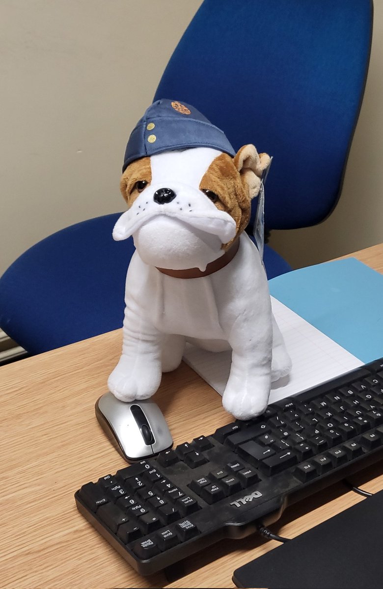 Flt Lt Price RAFAC tweet media