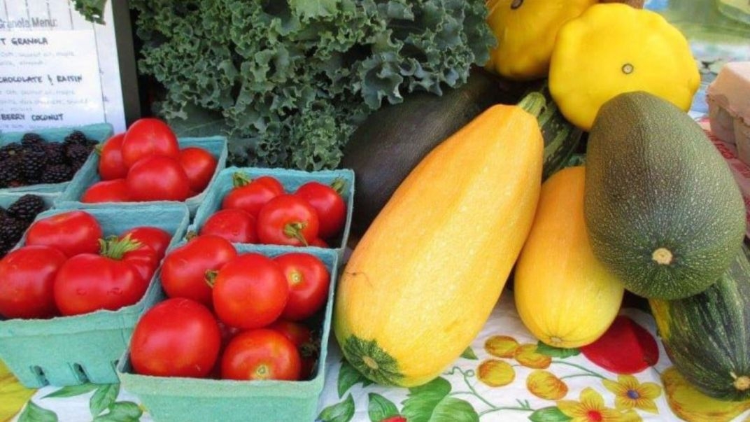 Faites une promenade en voiture jusqu’au charmant village de Gagetown où se tient un marché public hebdomadaire le 1 octobre, de 11 h à 15 h 👨‍🌾
Trouvez des artisans, des agriculteurs et des marchands de produits alimentaires de la région.
👉ow.ly/zB6l50PPS1p