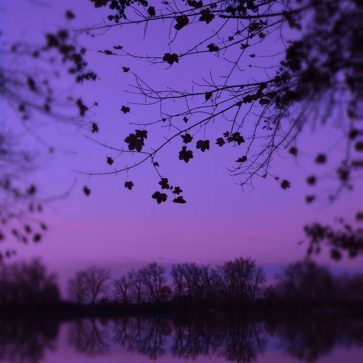 violettweets_'s tweet photo. purple pink sky. https://t.co/kbnpckLdiT