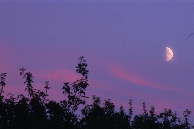 violettweets_'s tweet photo. purple pink sky. https://t.co/kbnpckLdiT