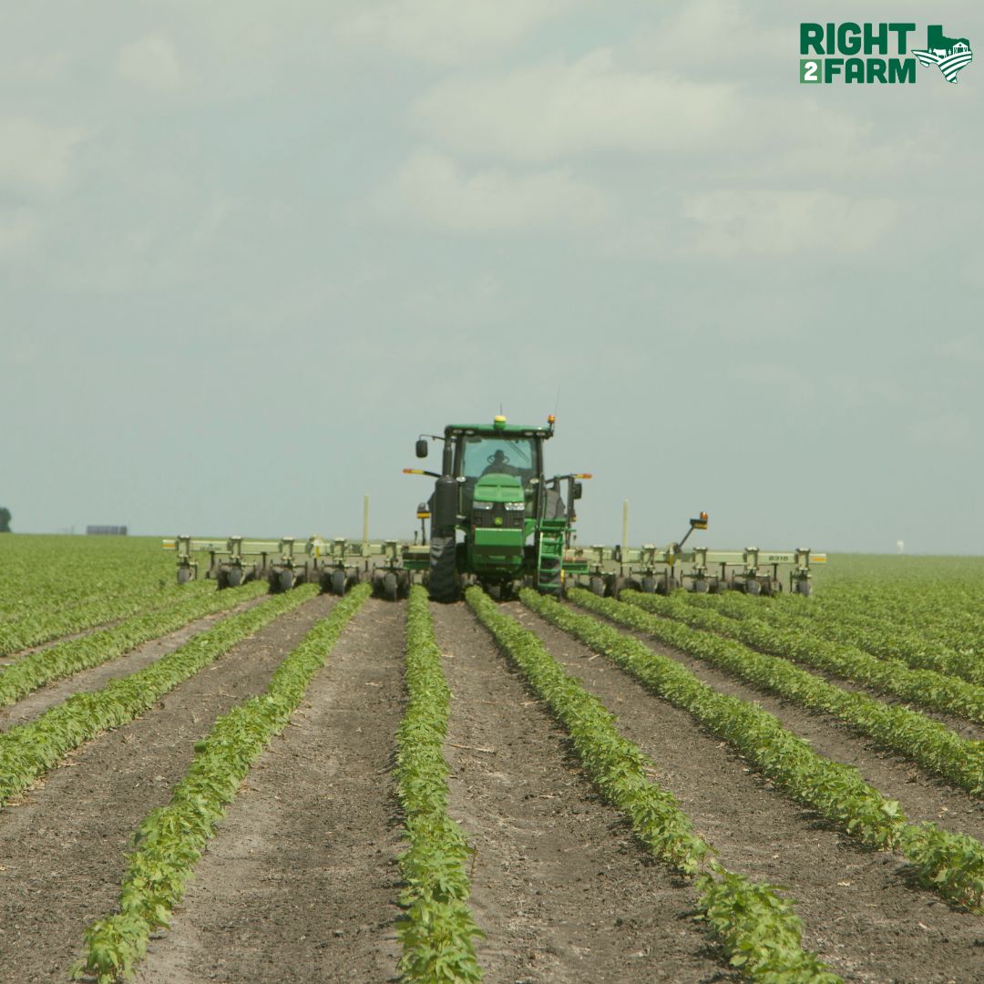 Proposition 1 isn't just a vote – it's a commitment to safeguarding Texas' agricultural heritage for generations to come. 🌱

Texas has lost over two million acres of agricultural land since 1997. This constitutional amendment will maintain the legacy of agriculture in our state.