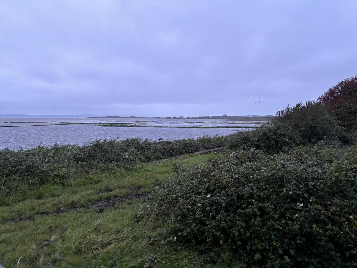 hslthomas86's tweet photo. High Tide and High Tea at @WWTLlanelli! 🦆🪿🦉🐦‍⬛🦅

@lottiethom @CTDigitalLtd https://t.co/zAdu4k4zbR