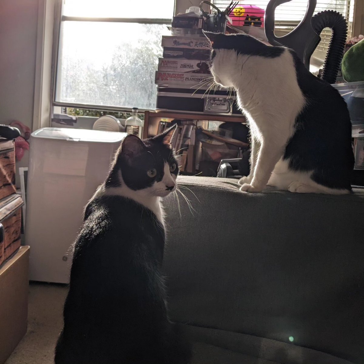 Post Rapture Party tweet media