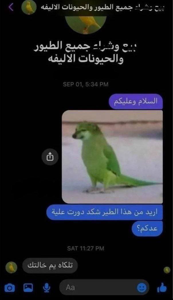 mohuk8's tweet photo. #تقليص_مناهج_السادس 
أما ابقاء التقليص أو تخفيف المناهجbhf https://t.co/laWBLUOgdN