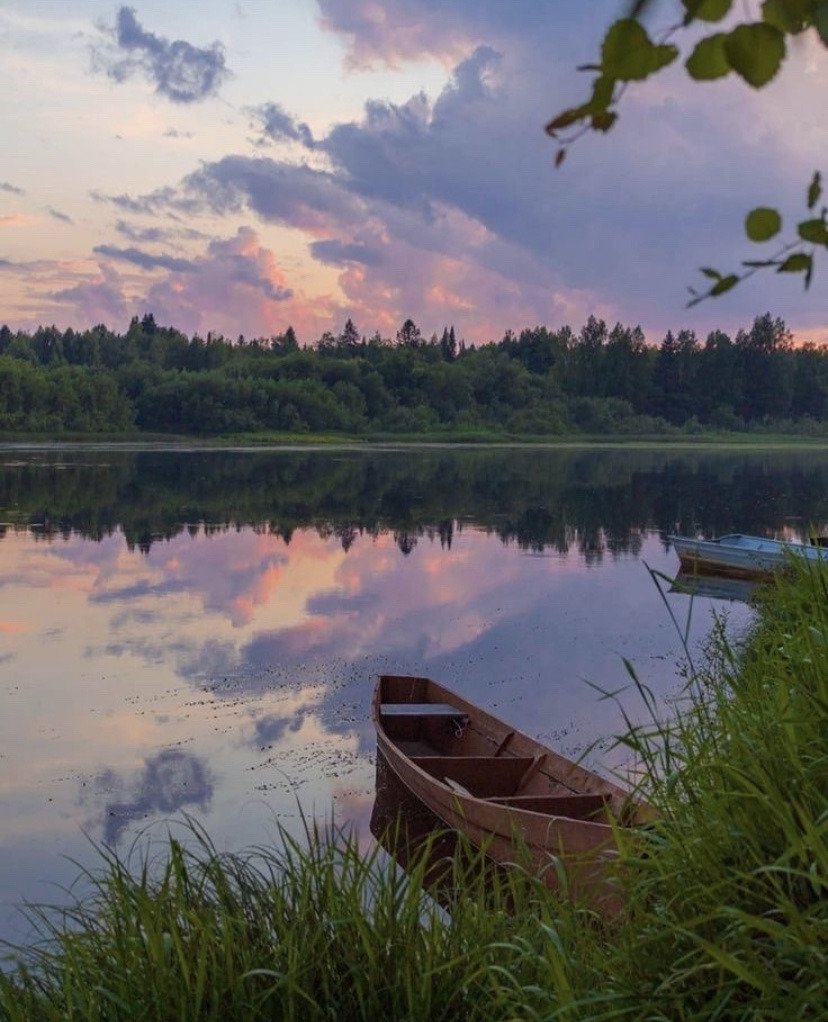 🌿🌼🧺 (@peacozy) on Twitter photo 