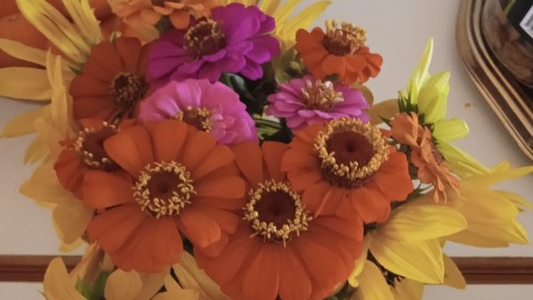 javroh's tweet image. "Una palabra #amable multiplica los amigos
y aleja a los enemigos,
y la lengua afable multiplica los saludos."

Eclo 6, 5  #BeneDicere   📷passionistnuns.org