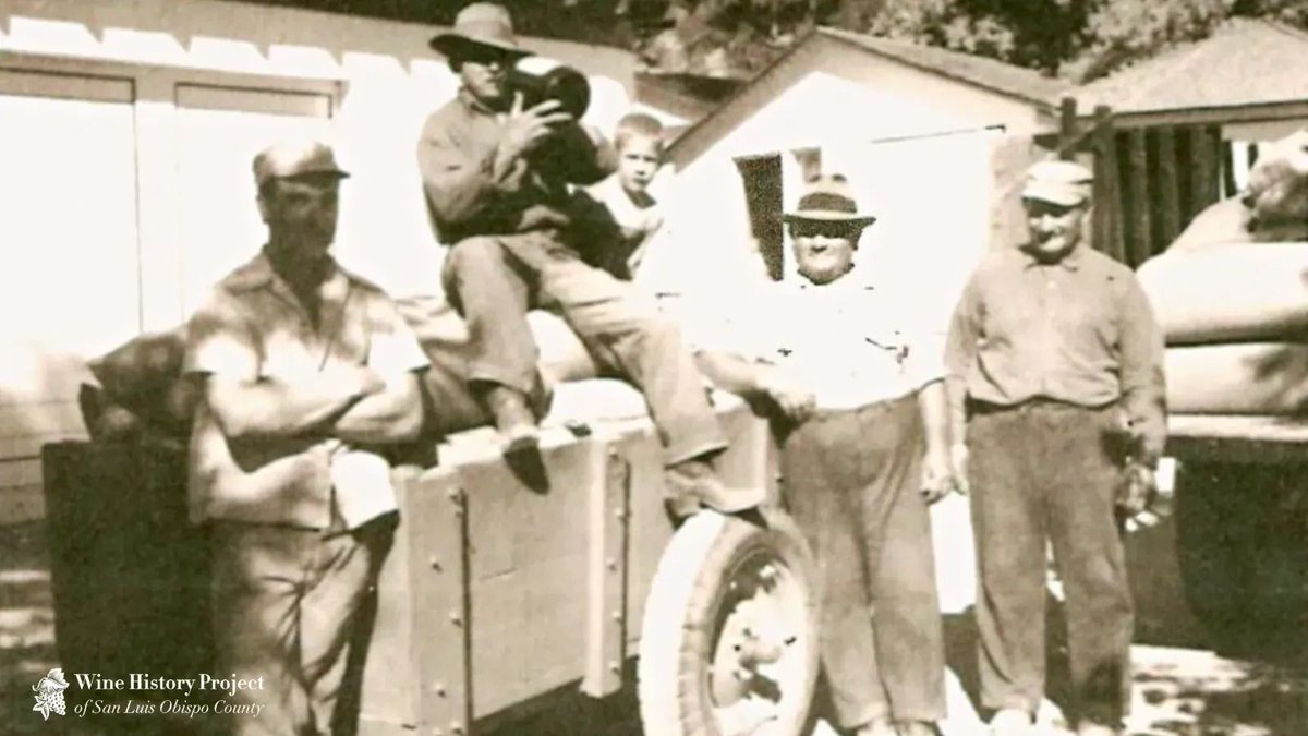 Did you know that every county in California grows grapes for wine? Learn more about wine history in recently uncovered documents! 👉 buff.ly/3RqDOAm #WineHistory #WineCountry #SLOwine #PasoWine #PasoRobles #SanLuisObispo