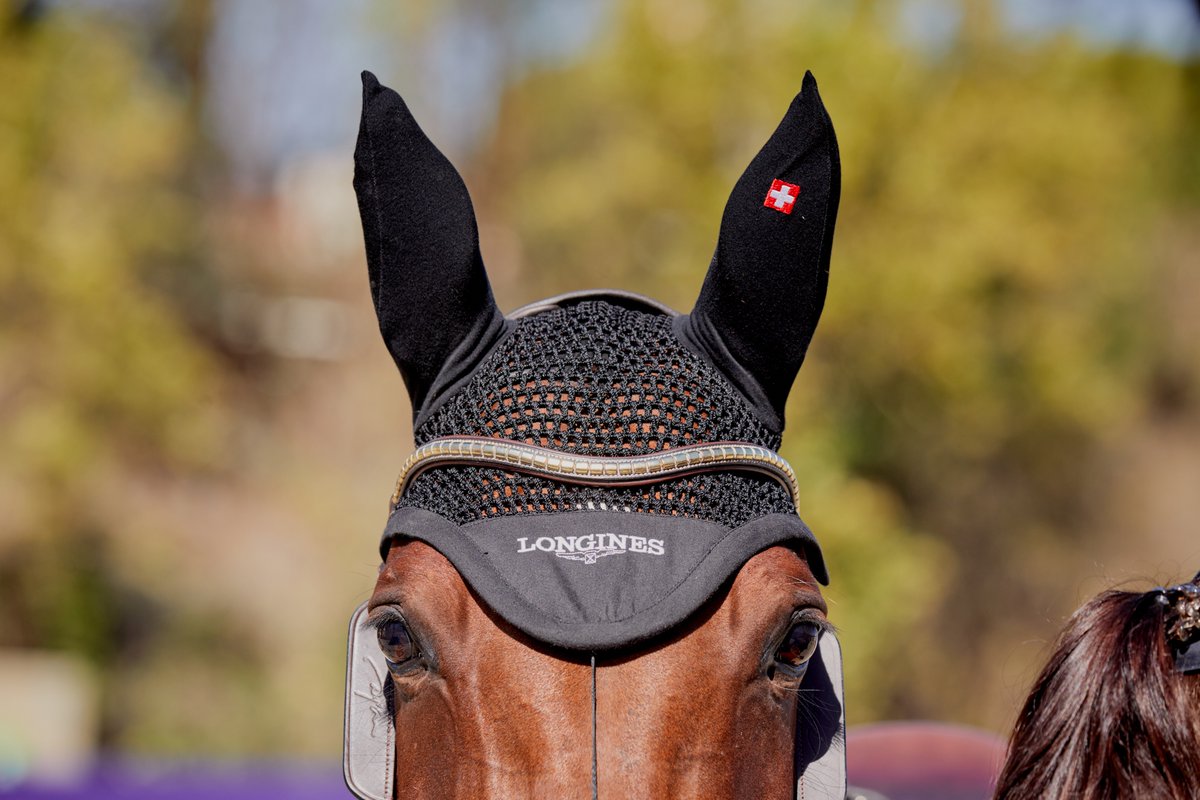 FEI_Global's tweet photo. Psssst!😗

Guess what. It's showdown time!⏱️

Today our champions will be crowned at the @Longines #FEIJumping Nations Cup™  Final 2023 at the @CSIObarcelona! 🇪🇸

📸 ©FEI/Liz Gregg

#BeProud #FEINationsCup #Longines https://t.co/ENw7DBZCJV
