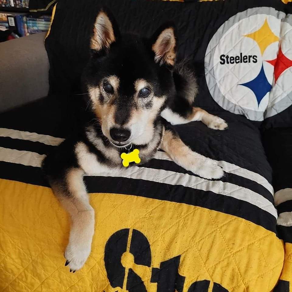 Mike Foster🌴🥥 tweet media