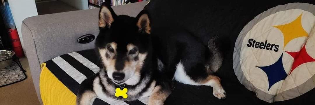 Mike Foster🌴🥥 tweet media