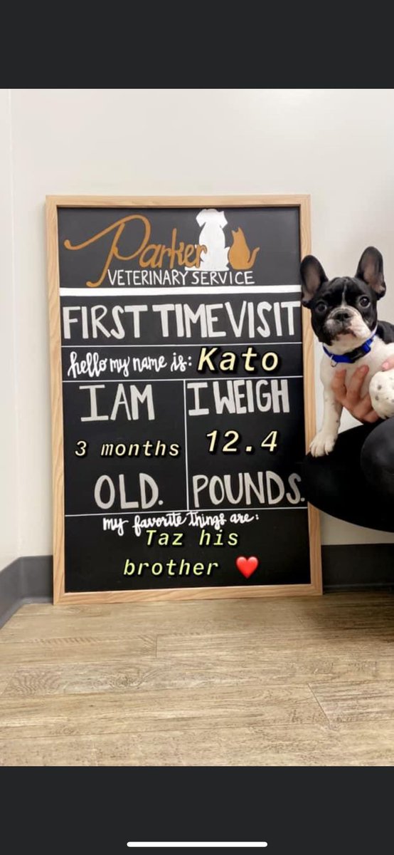 kyleandrew33's tweet photo. Welcome to the family, Kato 🖤🤍 https://t.co/SJbfgepDjc