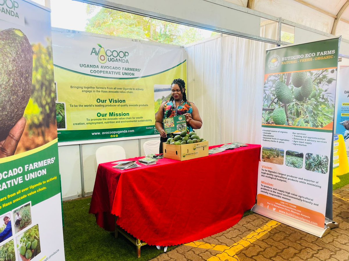 FMwebesa1's tweet photo. The expo which wraps up on Sunday is on the theme "Harnessing Benefits of the Afcfta, strengthening, bilateral trade relations between Uganda & Algeria". I thank the organisers @AnitahAmong @AlgeriaAlumniUG @freezonesug @newvisionwire @DailyMonitor @Parliament_Ug @Odrek_Rwabwogo https://t.co/9jpio4aUzu