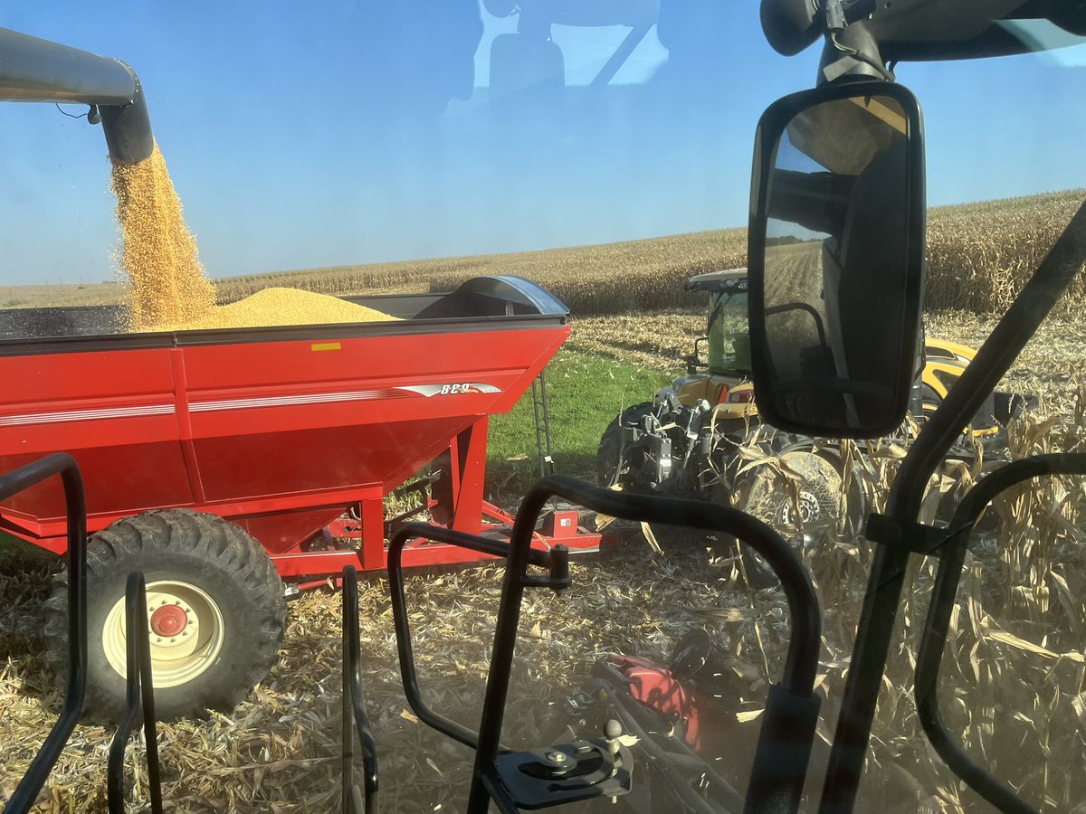 🌽 Harvest Day 1! High moisture corn to feed the 🐮 #harvest23