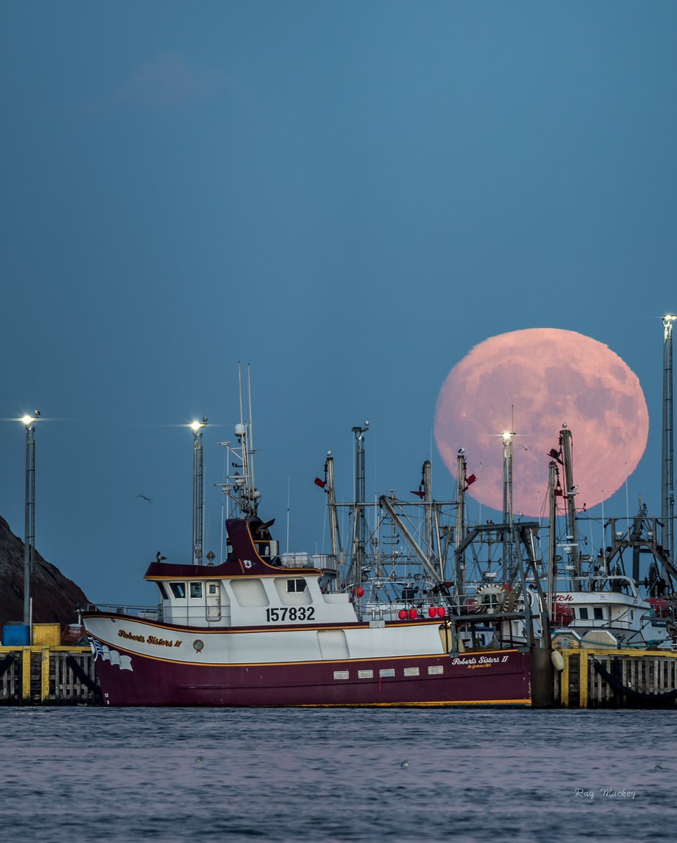 RayMackeyNL's tweet photo. St. John's, Newfoundland. #newfoundland #Canada #explorenl #explorecanada #FullMoon https://t.co/NpBoueG0ar