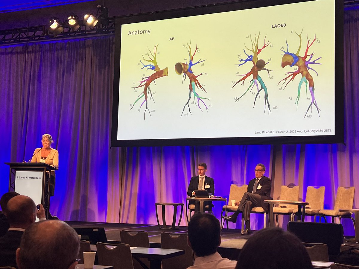 Prof. Lang discusses tips and techniques to improve BPA outcomes. #cteph2023