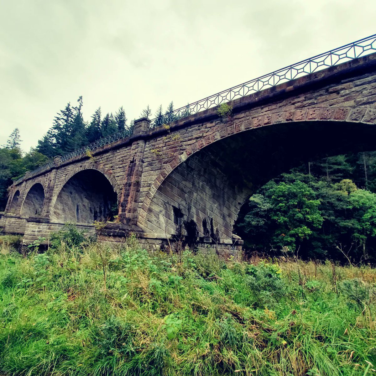 blonde_on_bikes's tweet photo. Cycled from Cardrona to Lyne Station and through the Barnes Estate,  returning via the Tweed path. The folks renting the Barnes invited us in for a look😀 Got caught in the rain on way back.. still a fun route. #peebles #Cardrona #Tweedcyclepath #sware #gravelriding #BarnesTower https://t.co/Hq7uw23aJz