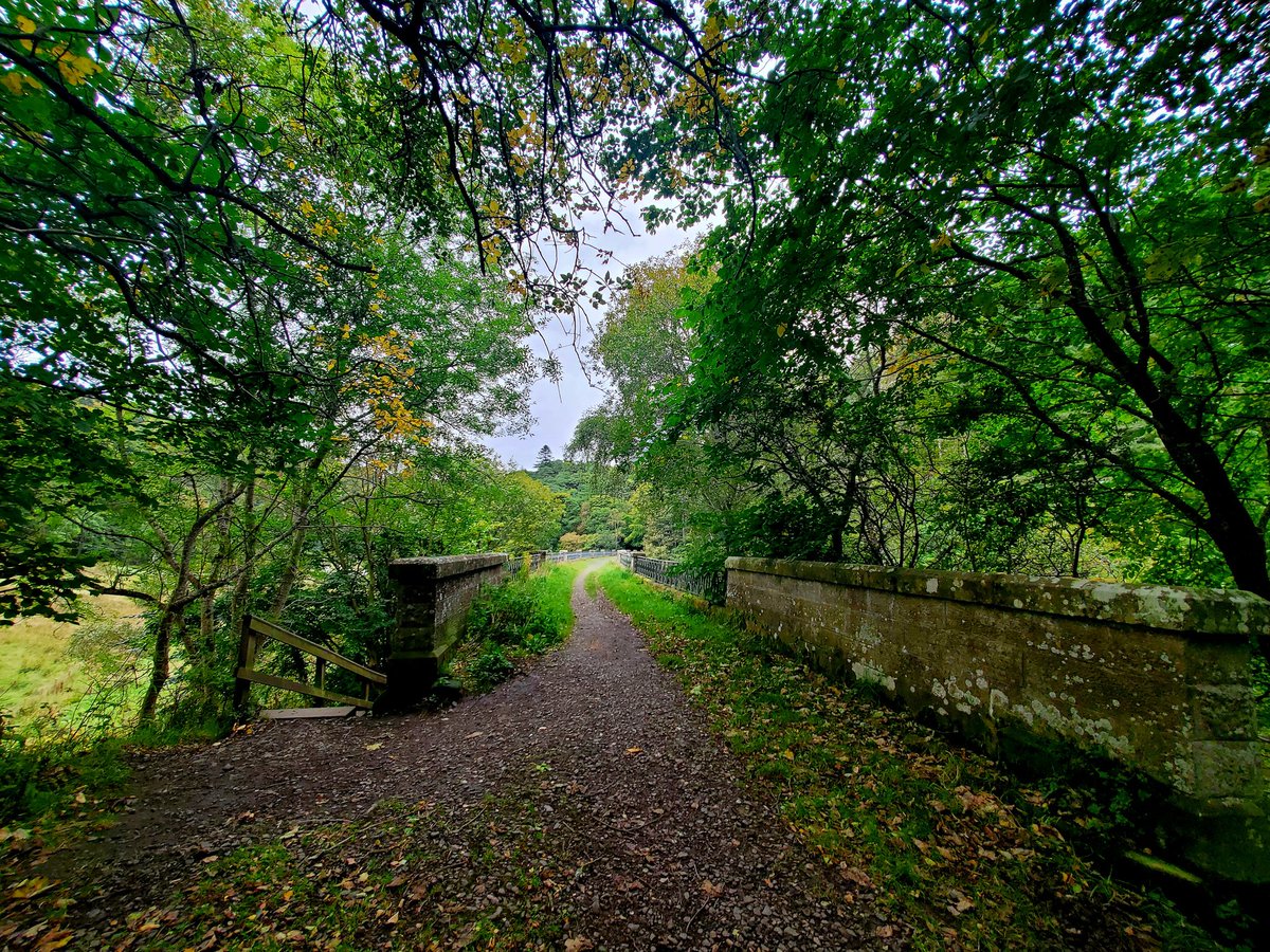 blonde_on_bikes's tweet photo. Cycled from Cardrona to Lyne Station and through the Barnes Estate,  returning via the Tweed path. The folks renting the Barnes invited us in for a look😀 Got caught in the rain on way back.. still a fun route. #peebles #Cardrona #Tweedcyclepath #sware #gravelriding #BarnesTower https://t.co/Hq7uw23aJz