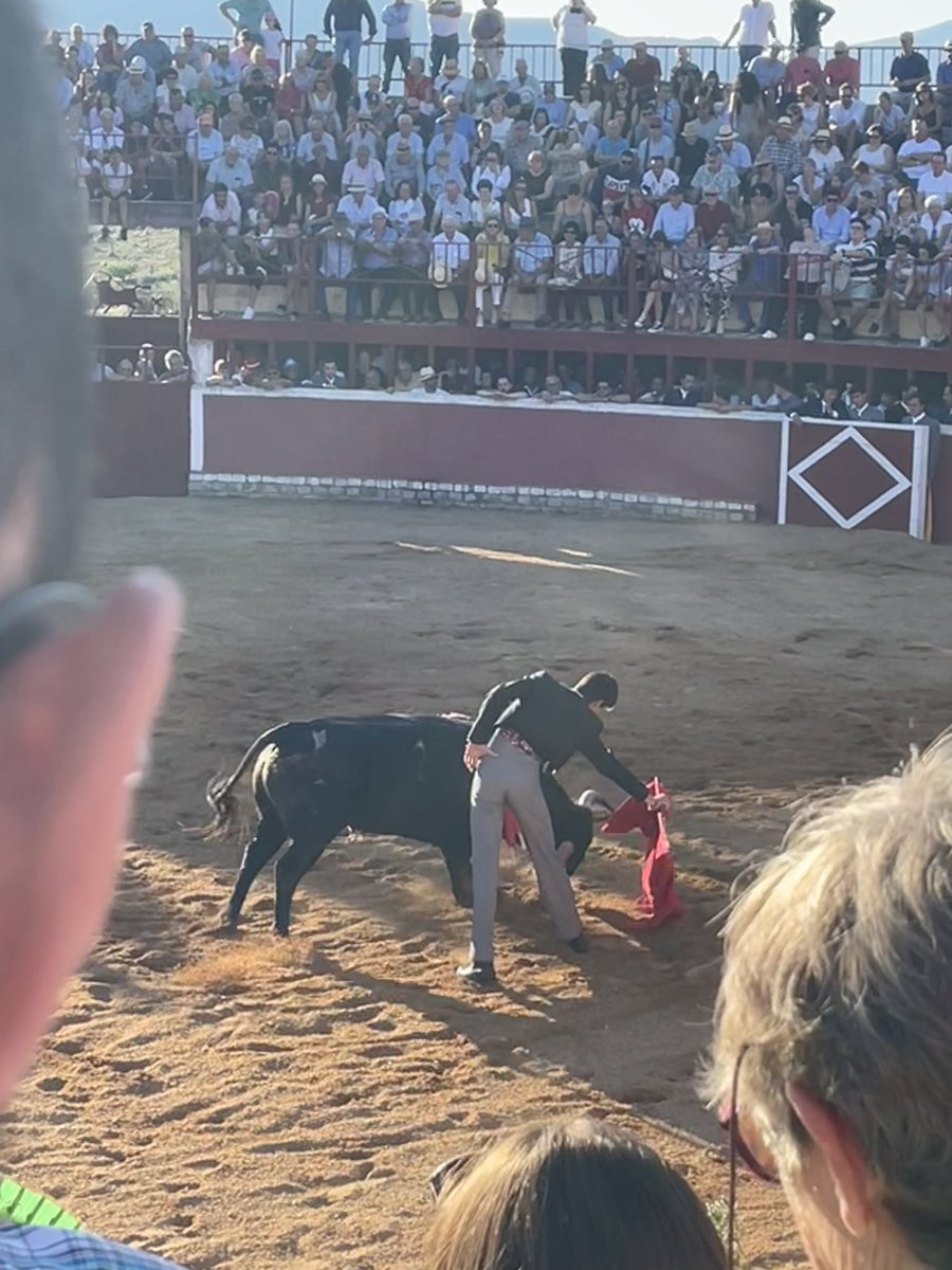 Vicente Sánchez 🇪🇸⚔️ tweet media