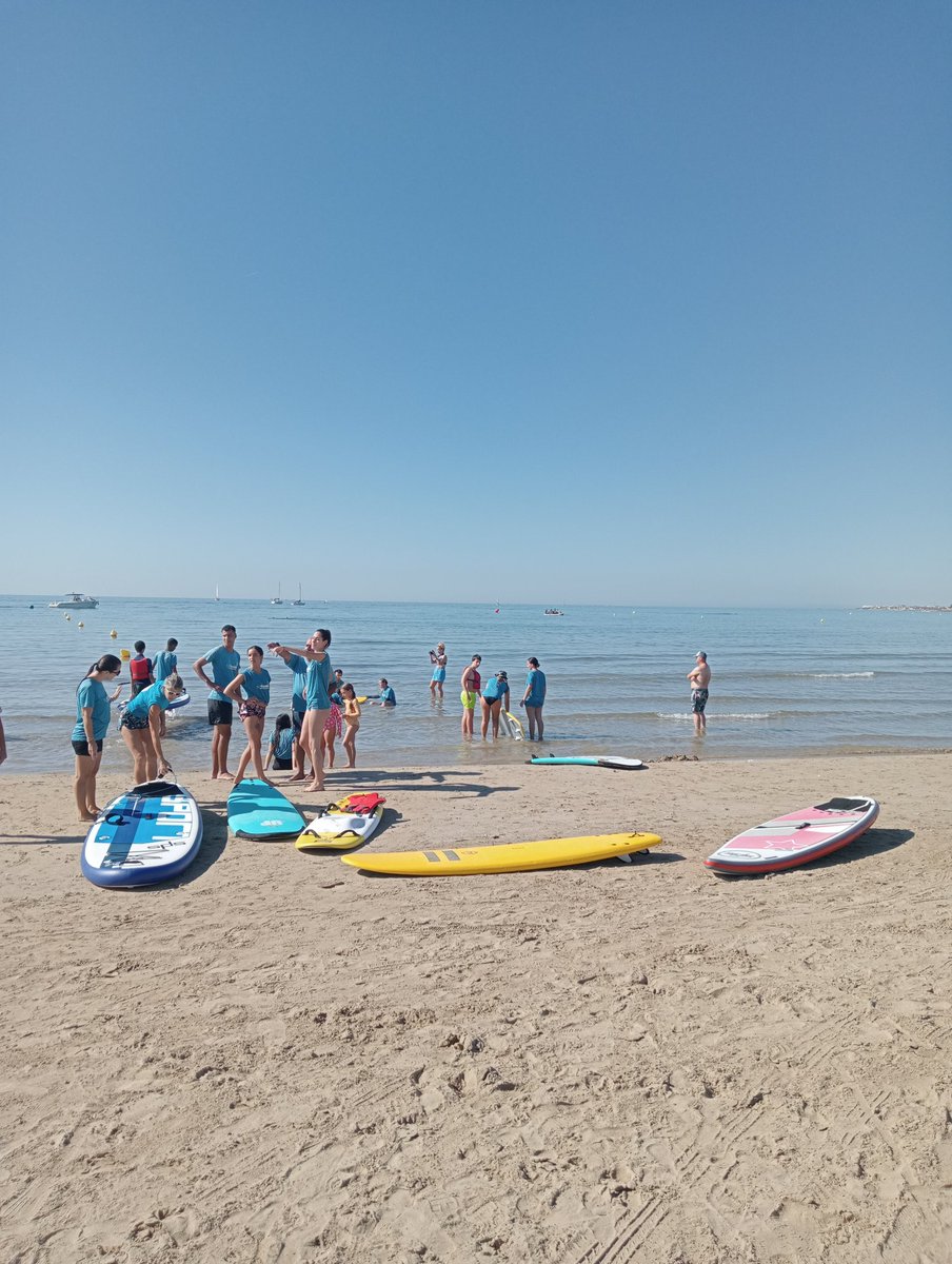 Lo Miquelet Simó tweet media