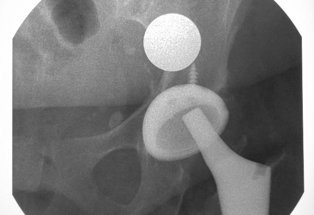 disasterplasty tweet media