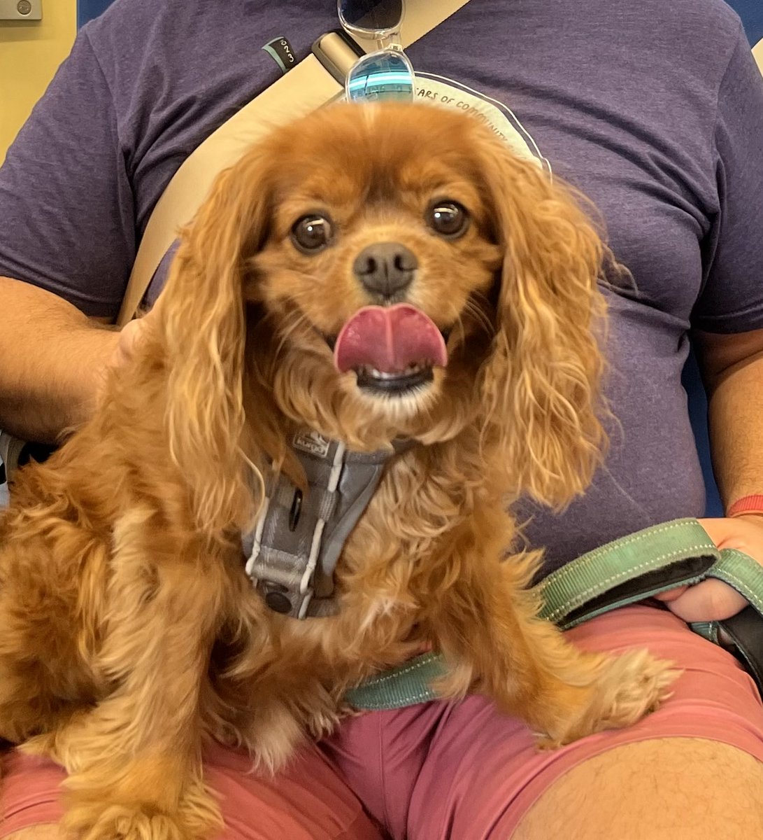 Wendy Fossum tweet media