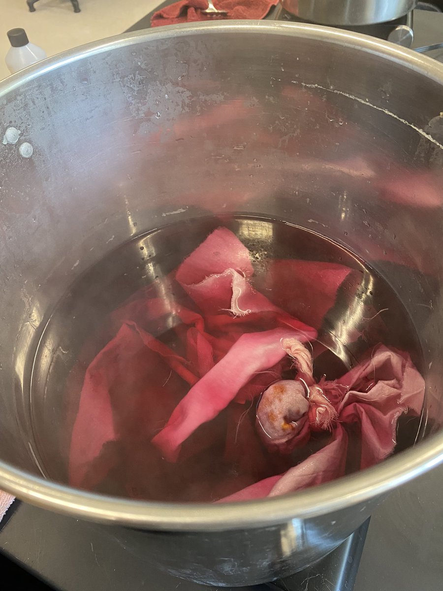 bio_uncg's tweet photo. Today, we teamed up with theatre to learn about plant-based dyes! Not only are our native plants powerful medicinal and culinary ingredients, but they can color more than just our landscapes. Fun workshop curtesy of Tara Webb @UNCGTheatre https://t.co/0HukxnIF3g