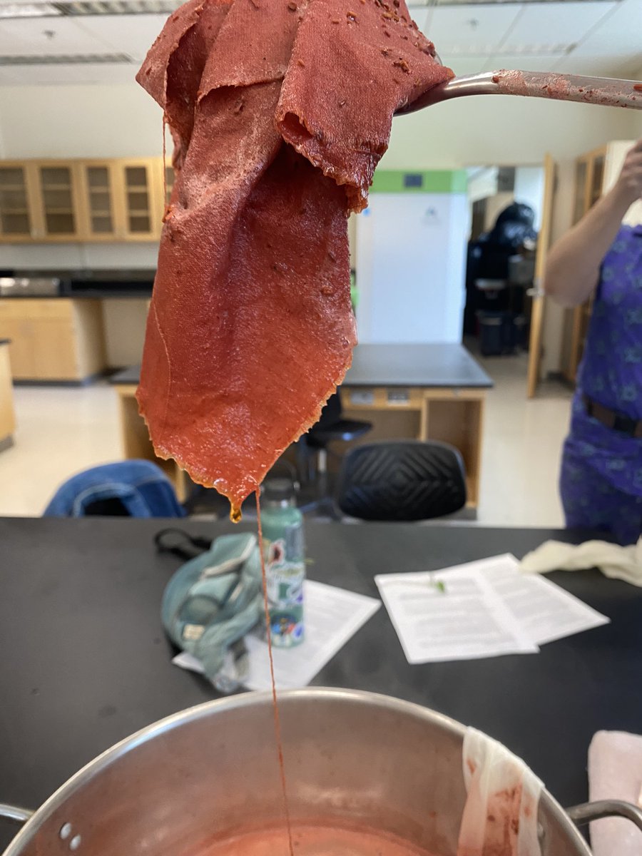 bio_uncg's tweet photo. Today, we teamed up with theatre to learn about plant-based dyes! Not only are our native plants powerful medicinal and culinary ingredients, but they can color more than just our landscapes. Fun workshop curtesy of Tara Webb @UNCGTheatre https://t.co/0HukxnIF3g