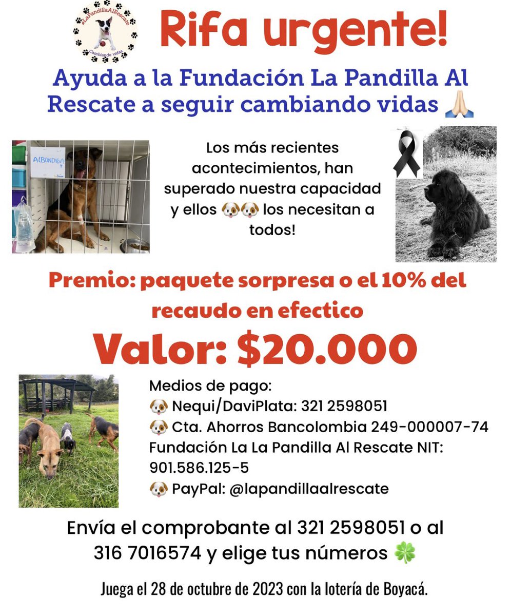 Marce_Tabares's tweet image. 🛑#AvisoParroquial. No nos ha ido muy bien que digamos con la rifa 🥺. Por esto la aplazaremos para el 28 de octubre. Gracias por su comprensión 🙏🏻🙏🏻