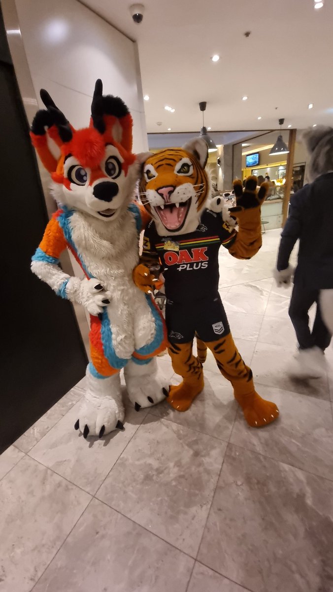 VigTorarr's tweet photo. Last night at the Furjam hotel event/dance party
 Featuring @VelPlatygon @flare @Corza_uwu @RileyTheDeer @silversheepbaa https://t.co/6nSbJBnkWH