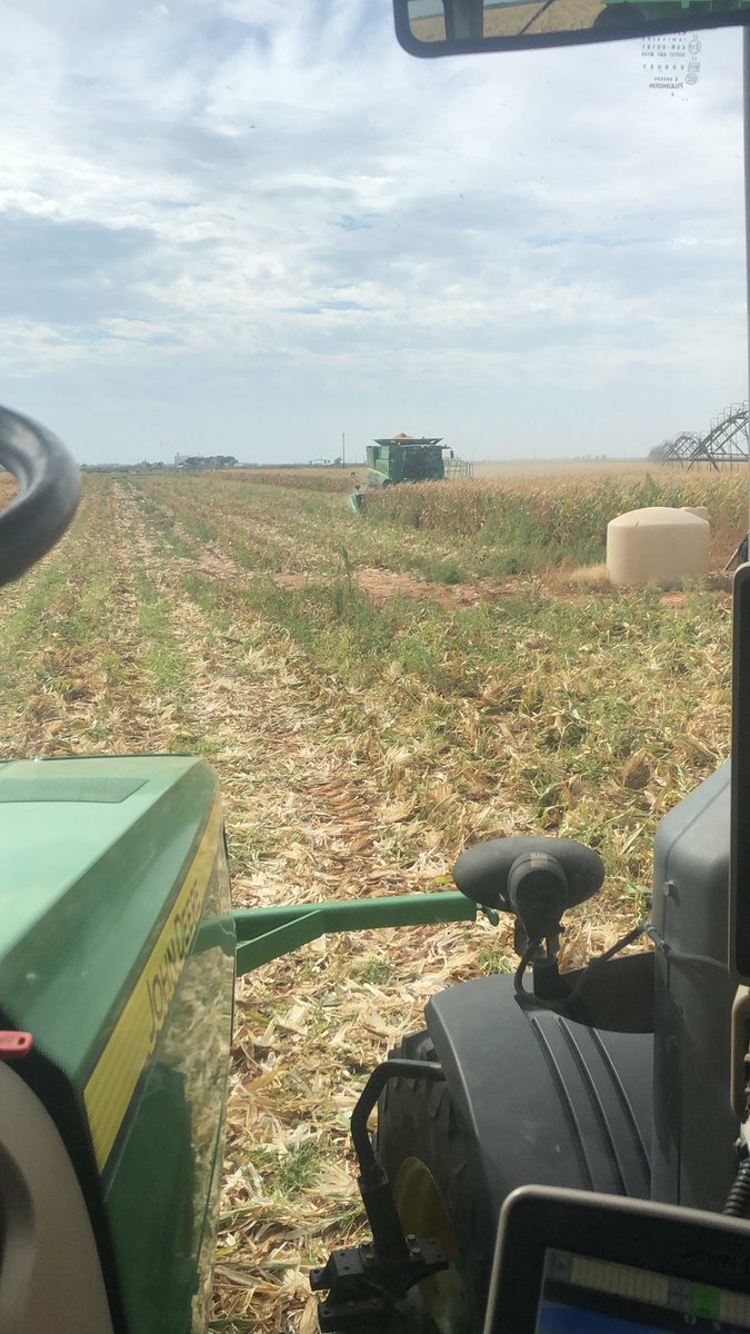 Hays Pierce tweet media