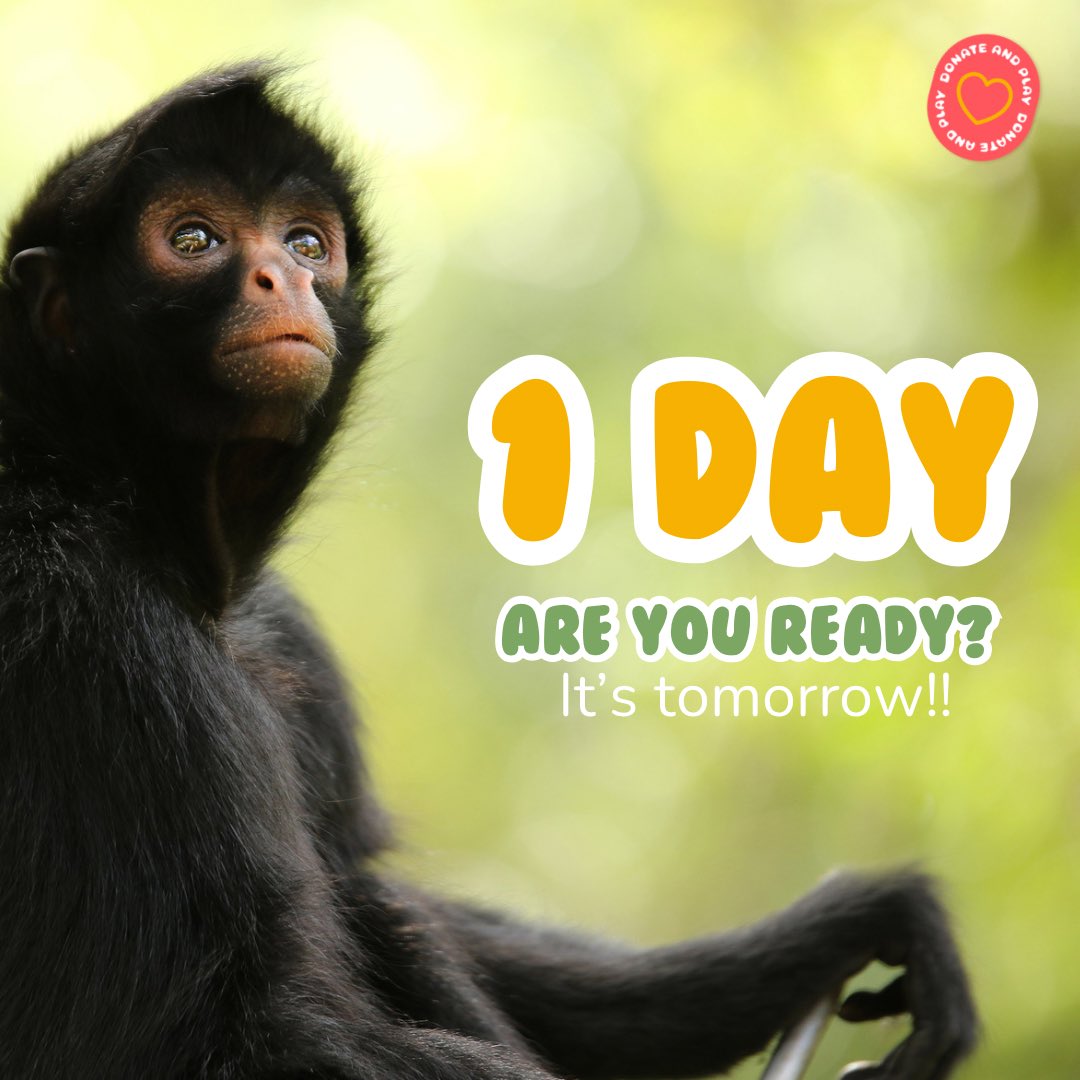 wildfriendsgame's tweet photo. 1 day! Are you ready for #WildfriendsGame updates?? It’s tomorrow!! Don’t miss our X Spaces at launch, see you there🐾
Join us in this process of creating a game with purpose 🐻💚🌿
#WildFriends https://t.co/bvTH4pfaDv