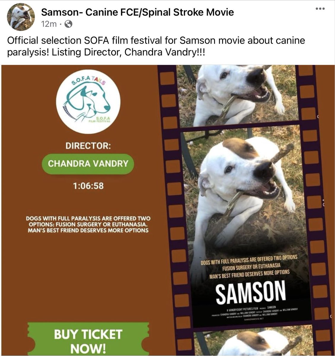 Samson- Canine FCE/Spinal stroke Movie tweet media