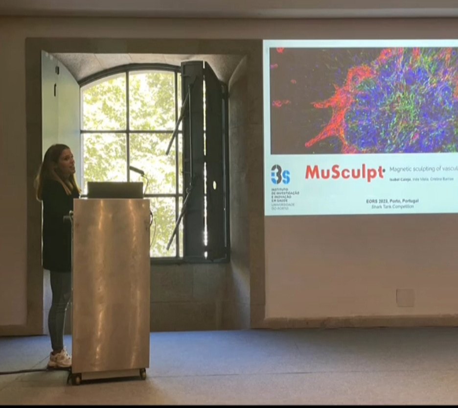 Isabel Calejo tweet media