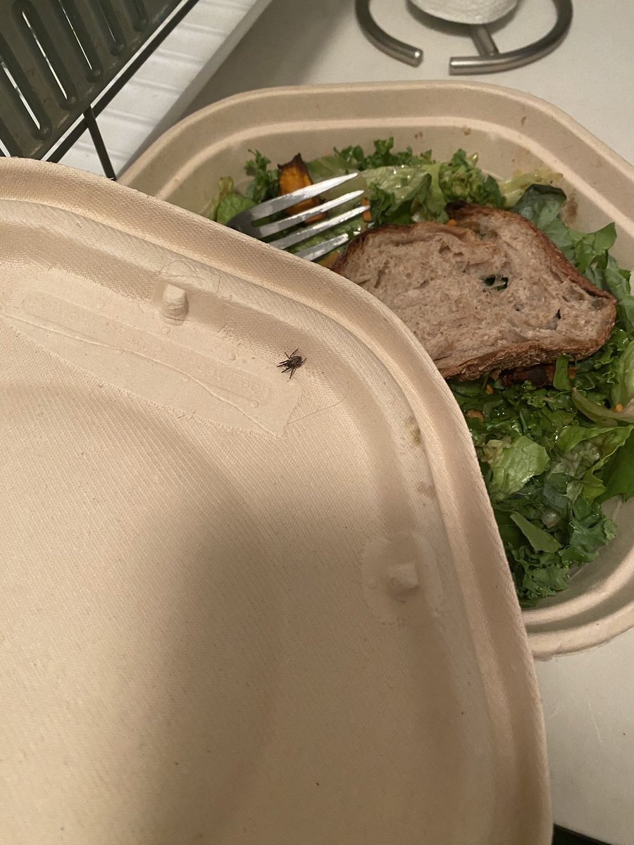 ericademichiel's tweet photo. not there being a bug under the cover of my salad @sweetgreen help plz 🤢 https://t.co/5SlicdrPD1