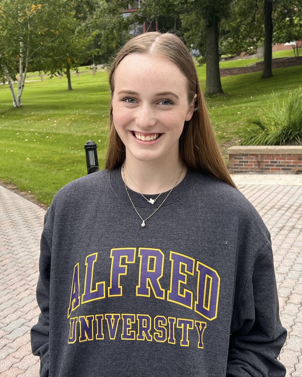 Alfred top university sweatshirt