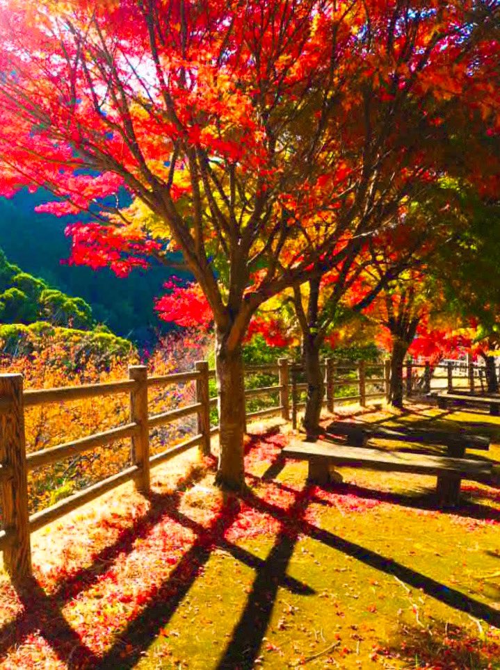 鮮やかな世界を待ちわびて
                                  
                                            神無月🍁🍂