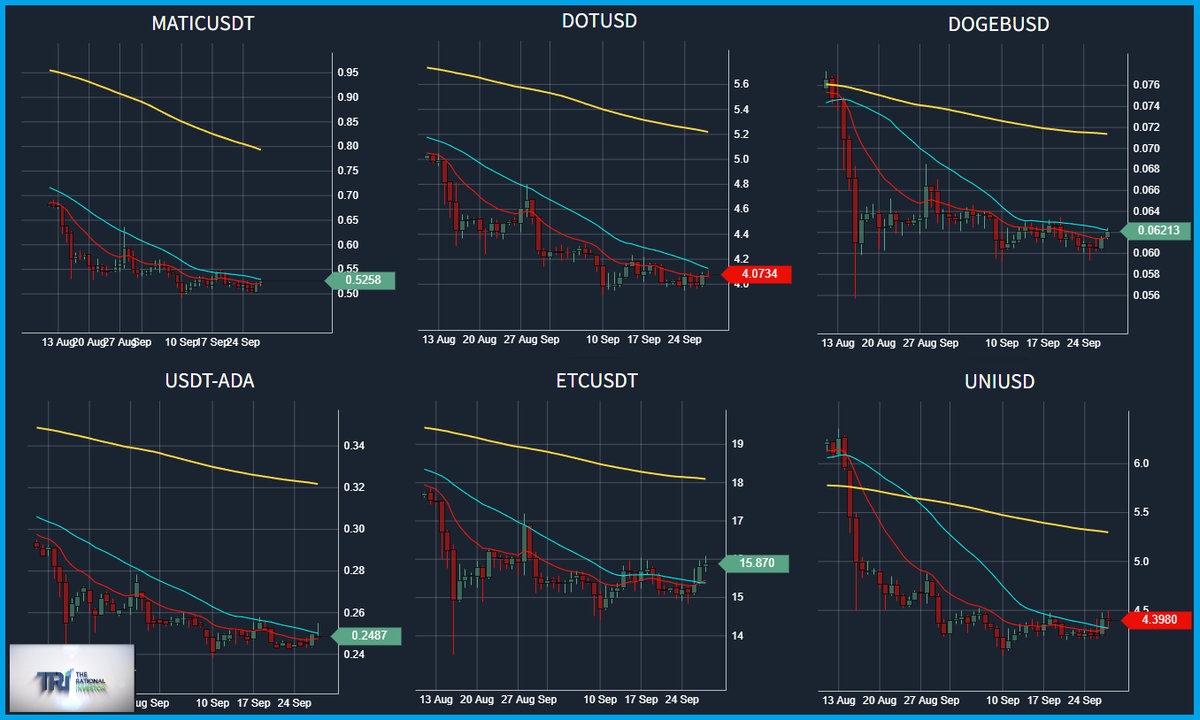 CRInvestor's tweet photo. #Crypto #trading #MakeMoneyFromTrading
#TRiCryptoTop30 #Gridview
The dashboard makes it really easy to see the W's as they come in. Question is, are you ready willing and able to pull the trigger when it is time to buy? #opportunityisnowhere #pma4tw
https://t.co/YrXkz1uhsN https://t.co/qWfPFBzyph