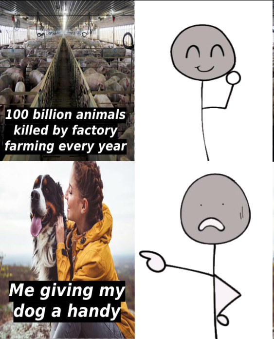 hereforthezoo's tweet image. 