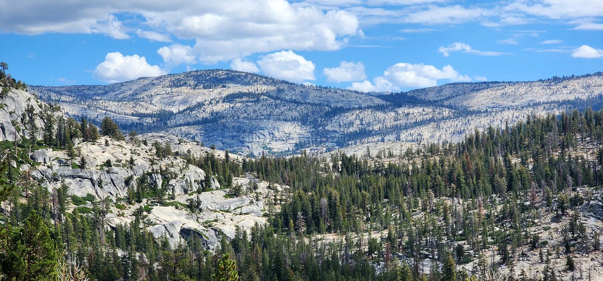 andyjump1118's tweet photo. Took a #roadtrip on #tiogapassroad #highway120 and took some #photos of the backside of #HalfDome. Will be doing this trip soon @YoseConservancy @YosemiteNPS @ThePhotoHour @Interior @VisitCA @ph0tographytips @StormHour #StormHour #graniterocks #mountains #backcountry #highsierras https://t.co/r9xCM3rsWU