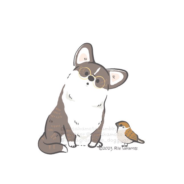 「メガネの日のコーギーとスズメたち#メガネの日 」|サカモトリエ/イラストレーターのイラスト